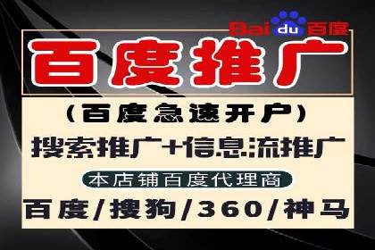 专业SEM代运营公司案例分析